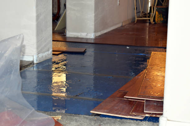 Professional Burst Pipe Water Damage technician working in Forestburg, TX
